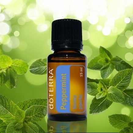 Doterra Pepermunt